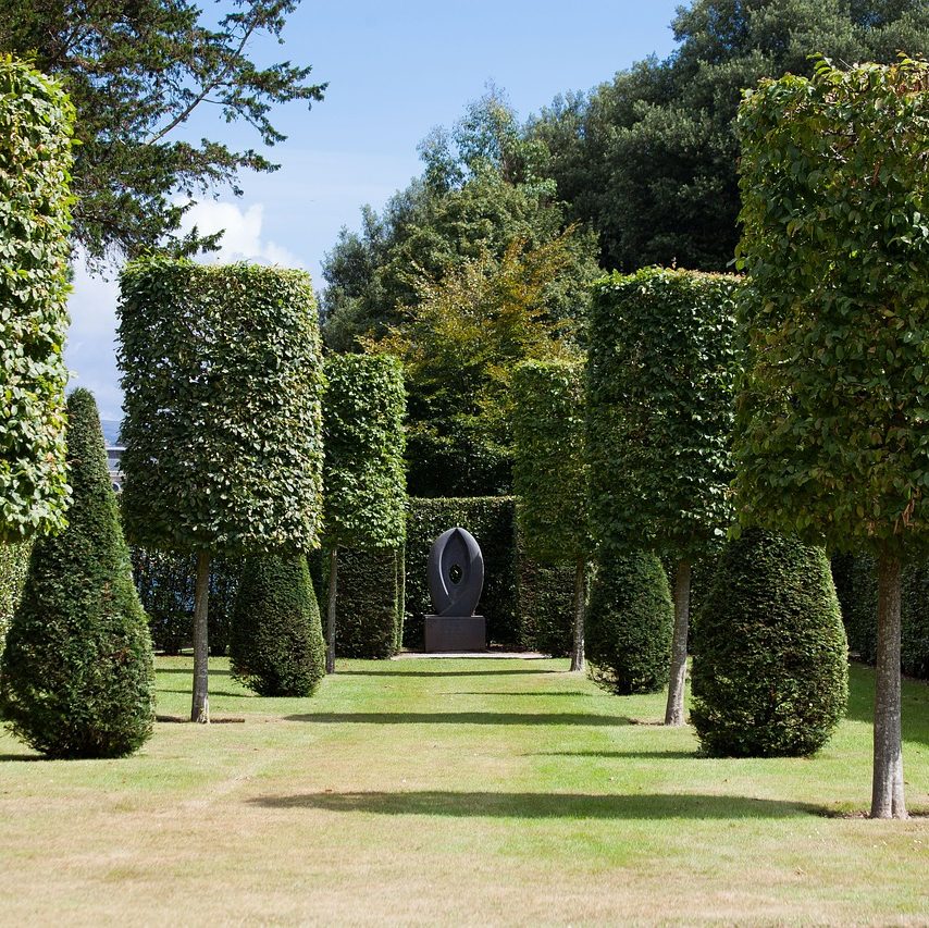 park, hedge, garden